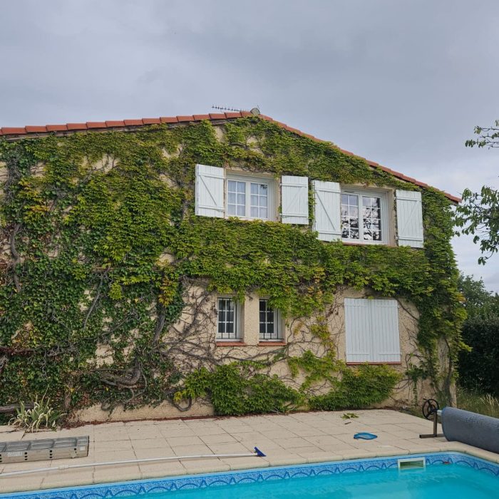 Intervention de L'écureuil du Jardin dans l'entretien et l'aménagement extérieur : nettoyage de façade, pose de clôture, aménagement paysager, élagage, et autres services professionnels pour vos espaces extérieurs à Pibrac.