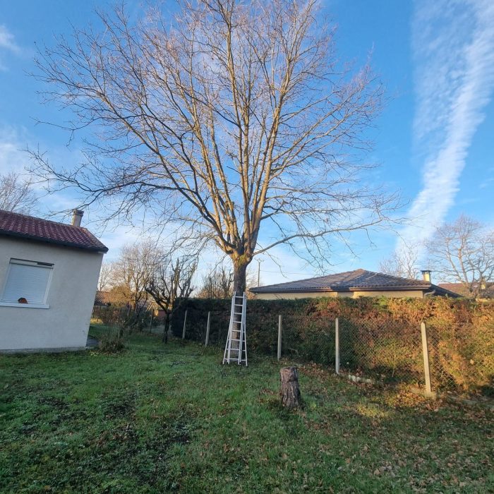 Intervention de L'écureuil du Jardin dans l'entretien et l'aménagement extérieur : nettoyage de façade, pose de clôture, aménagement paysager, élagage, et autres services professionnels pour vos espaces extérieurs à Pibrac.