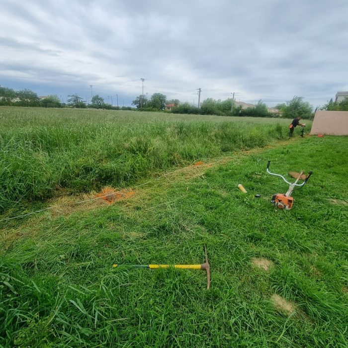 Intervention de L'écureuil du Jardin dans l'entretien et l'aménagement extérieur : nettoyage de façade, pose de clôture, aménagement paysager, élagage, et autres services professionnels pour vos espaces extérieurs à Pibrac.