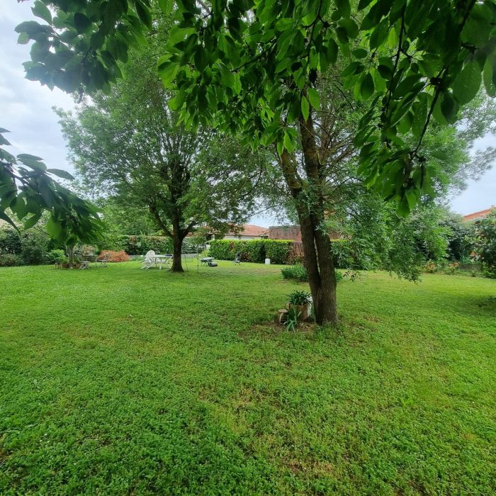 Intervention de L'écureuil du Jardin dans l'entretien et l'aménagement extérieur : nettoyage de façade, pose de clôture, aménagement paysager, élagage, et autres services professionnels pour vos espaces extérieurs à Pibrac.